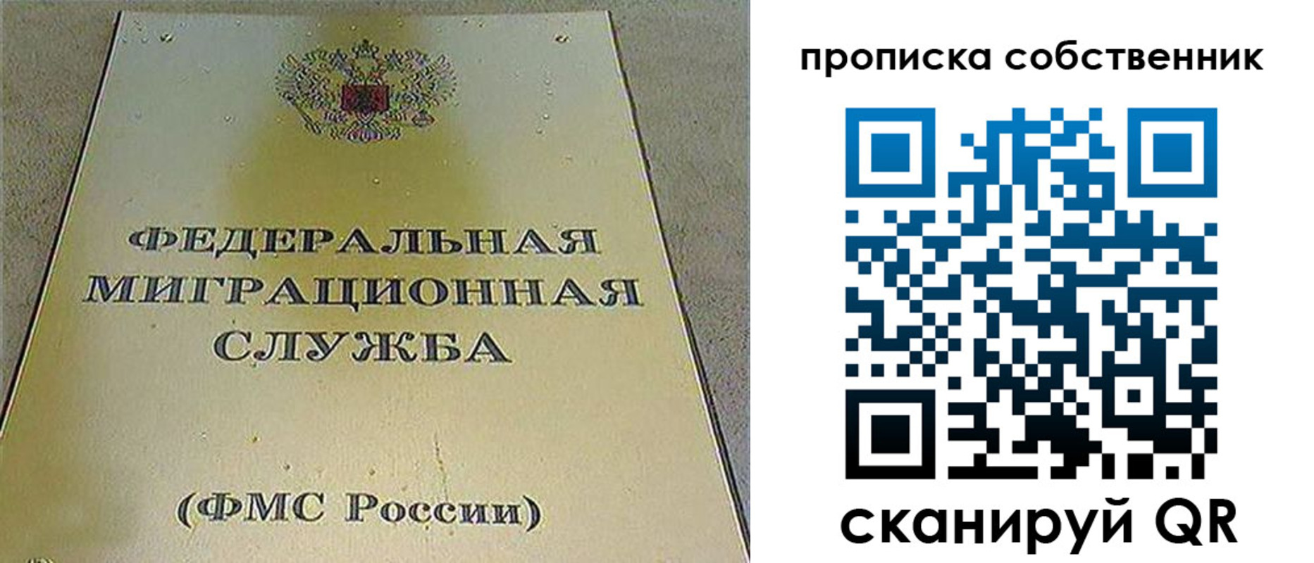 где прописаться в Нелидово